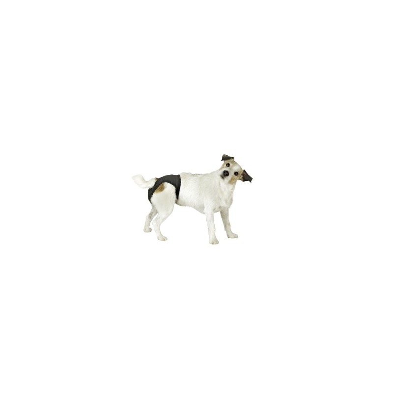 Broekje Hond bij loopsheid 32-37 cm
