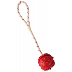 Ball on a rope mini